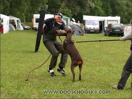 Training camp - Lukova 2007